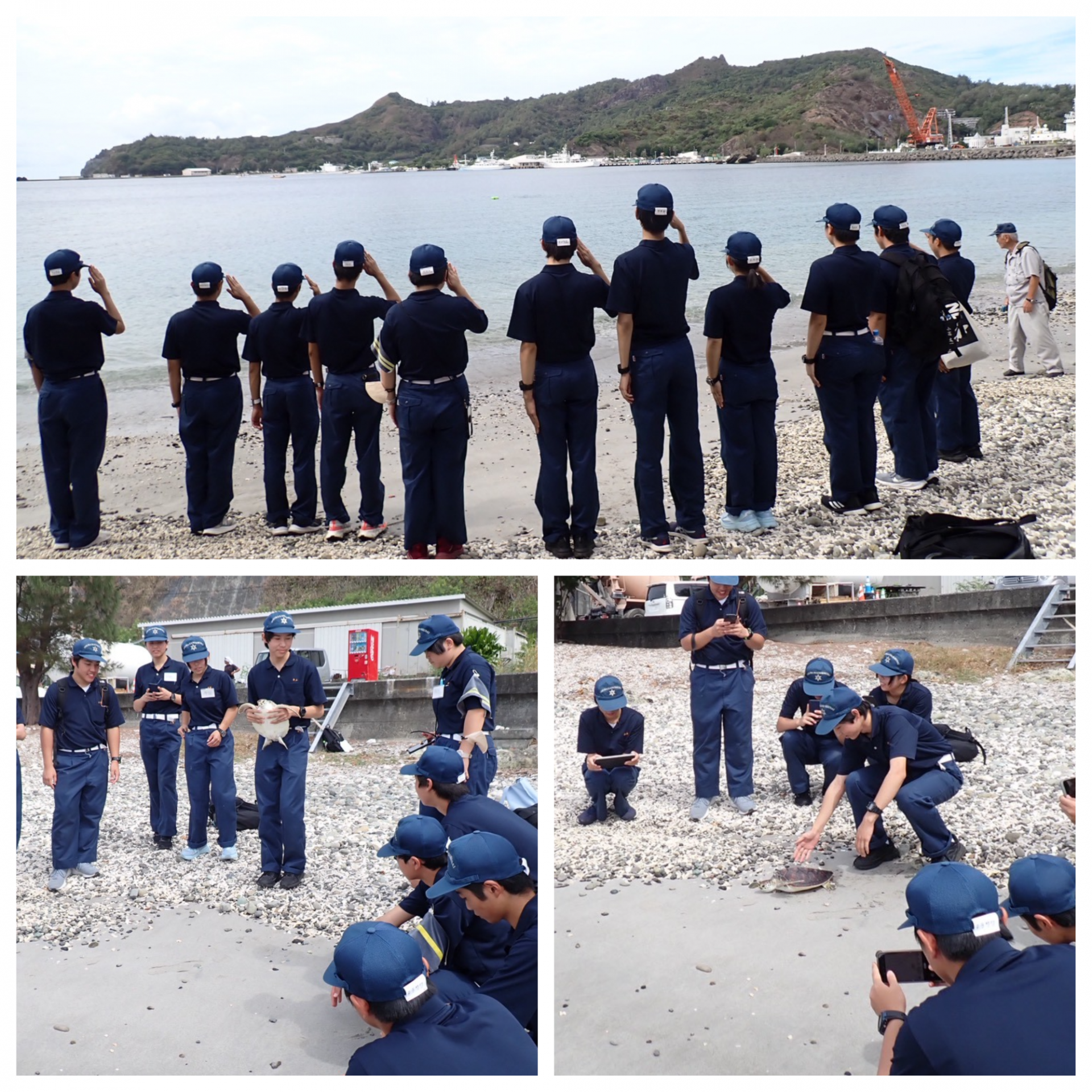 Blank 3 Grids Collage - 2025-10-25T085914.687